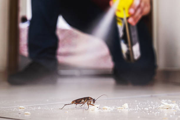 Best Commercial Pest Control Services  in Lexington, MS