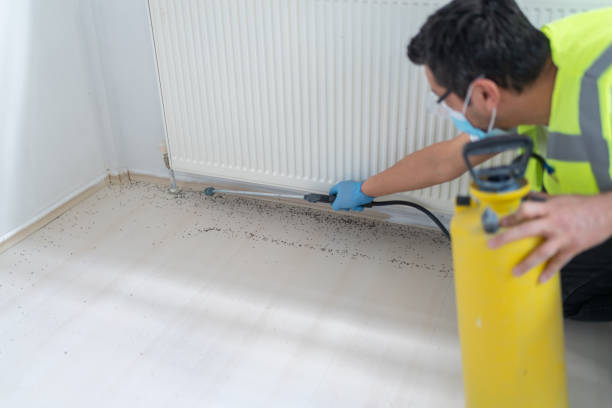 Best Ant Control Services  in Lexington, MS